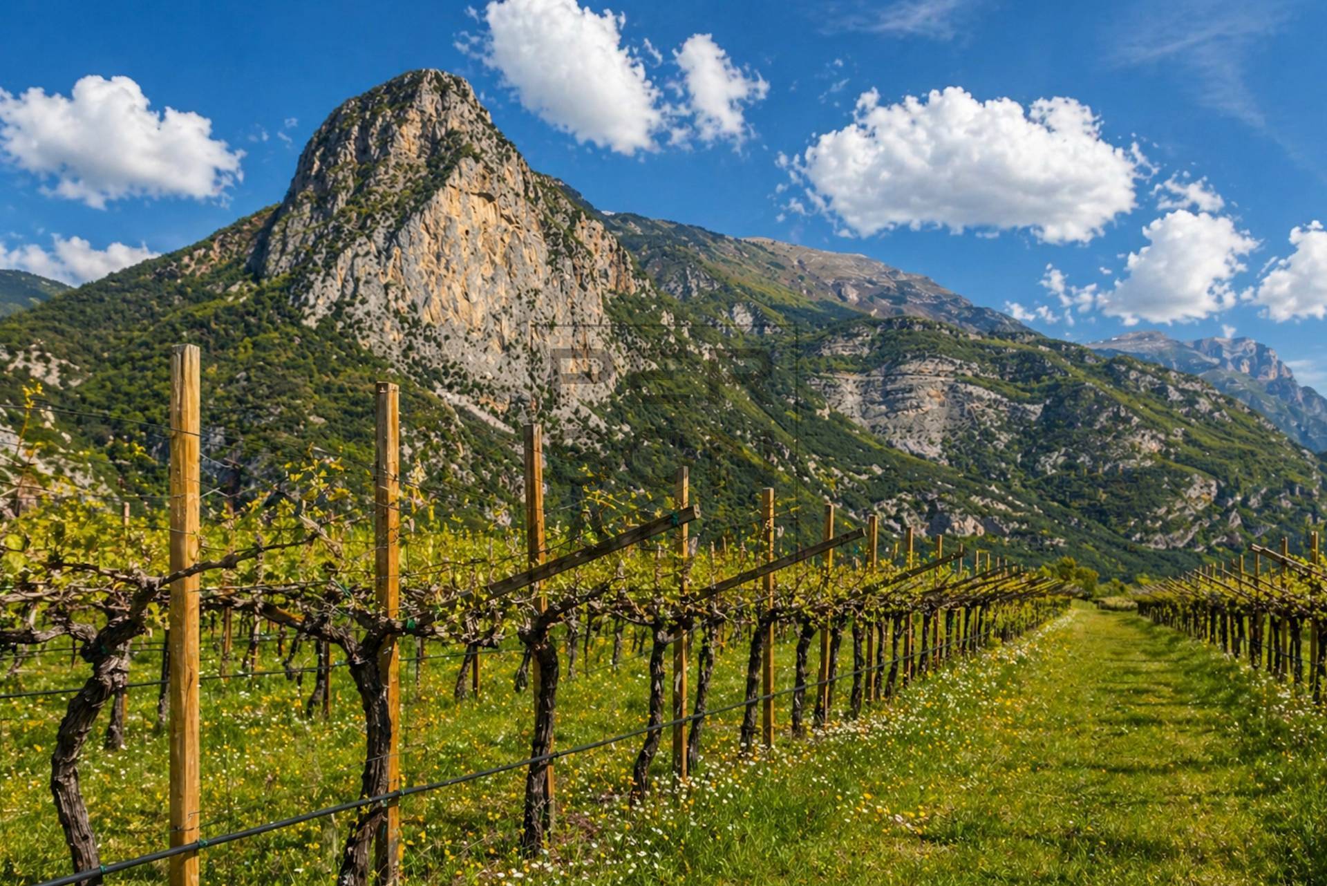 Terreno Agricolo in vendita a Dro, Maso Gobbo