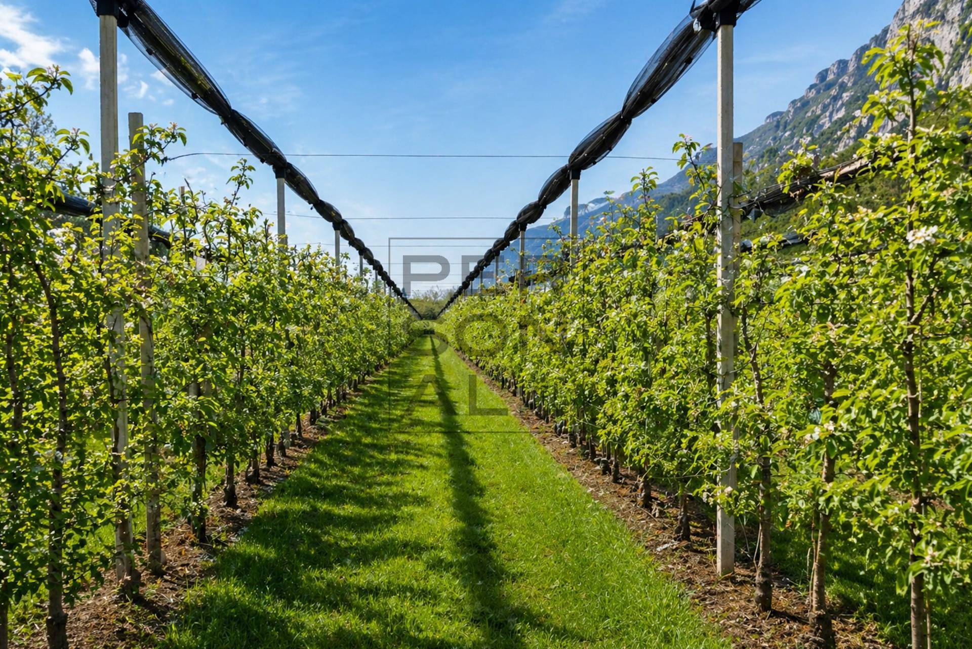 Terreno Agricolo in vendita a Dro, Maso Gobbo