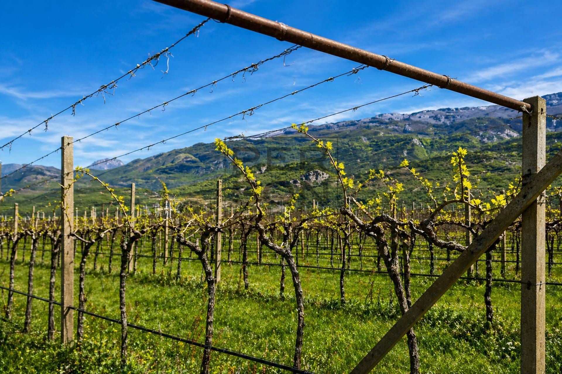 Terreno Agricolo in vendita a Dro, Maso Gobbo