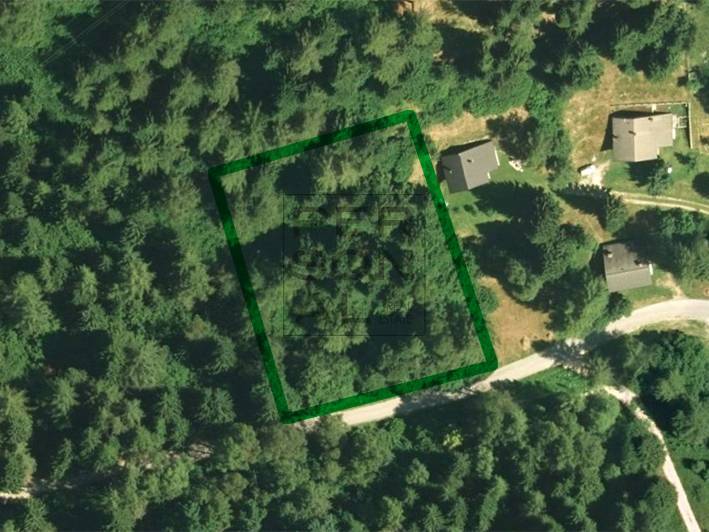 Terreno Edificabile in vendita a Pieve Tesino, Spiado
