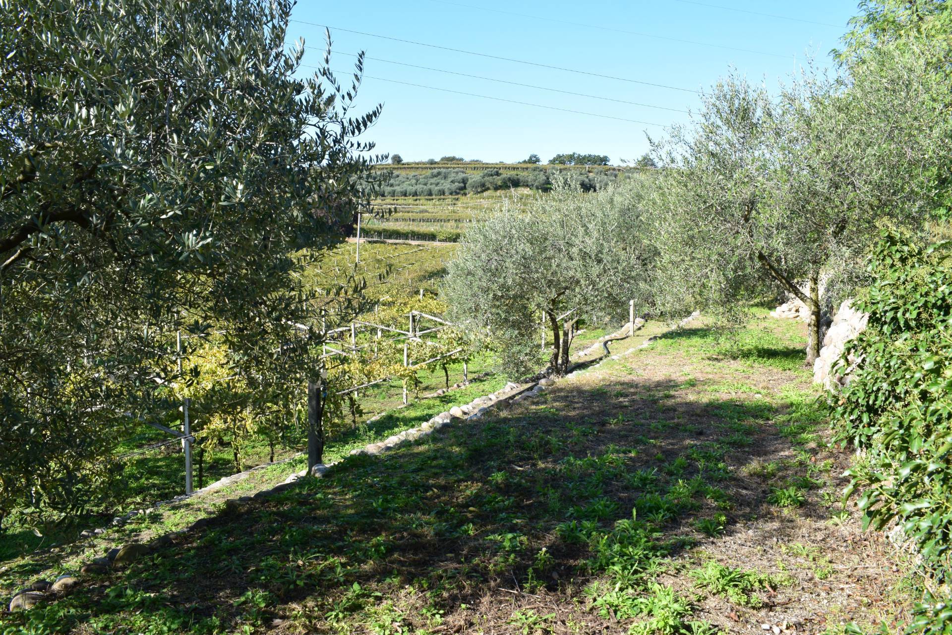 Terreno edificabile in vendita a Sant'Ambrogio di Valpolicella