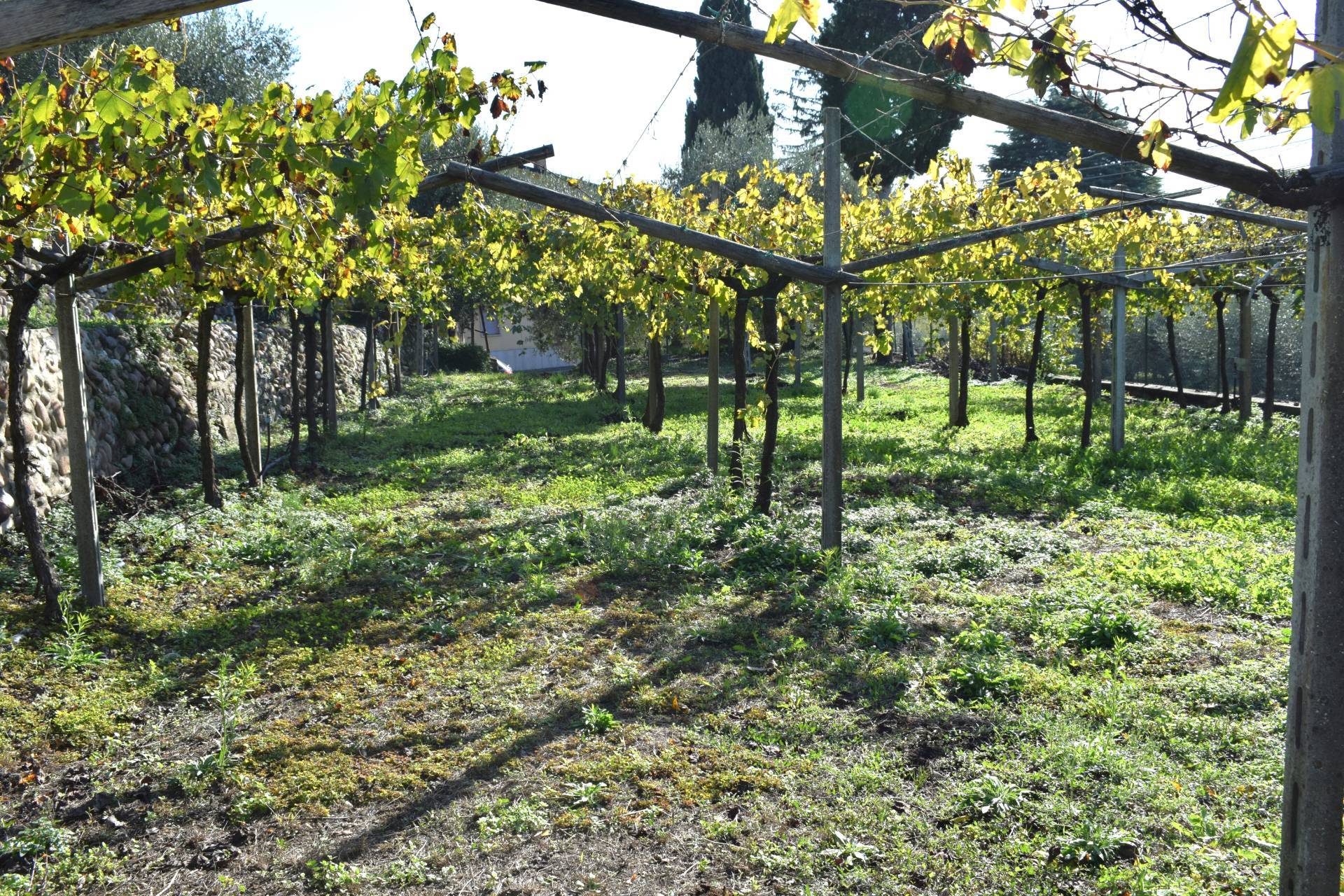 Terreno edificabile in vendita a Sant'Ambrogio di Valpolicella