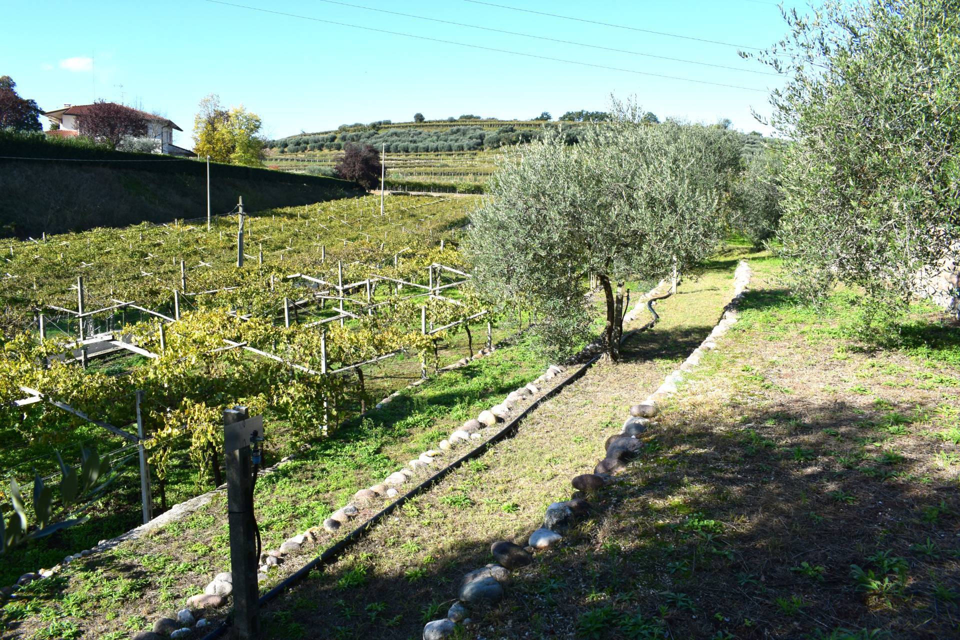 Terreno edificabile in vendita a Sant'Ambrogio di Valpolicella
