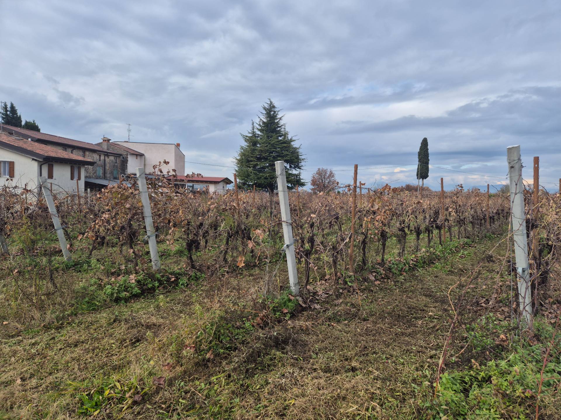 Terreno Agricolo in vendita a Lazise