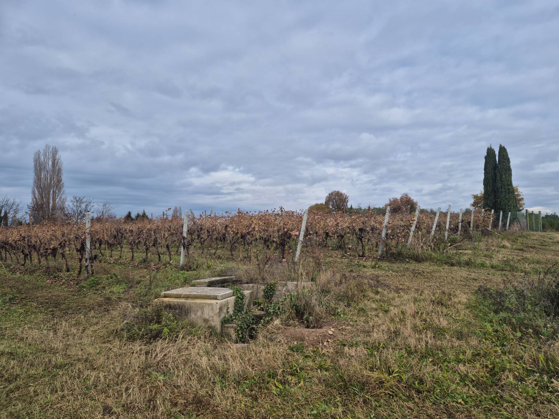 Terreno Agricolo in vendita a Lazise