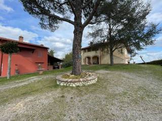 Rustico in vendita a Palaia