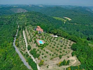 Rustico in vendita a Palaia