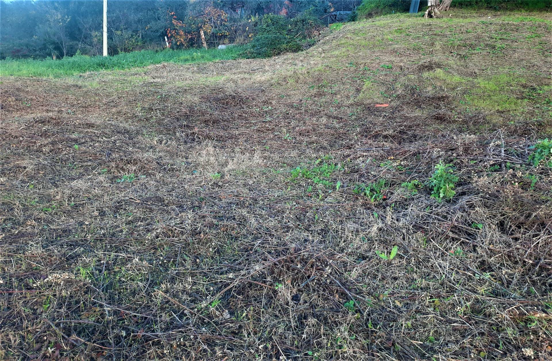 Terreno edificabile in vendita a Lajatico