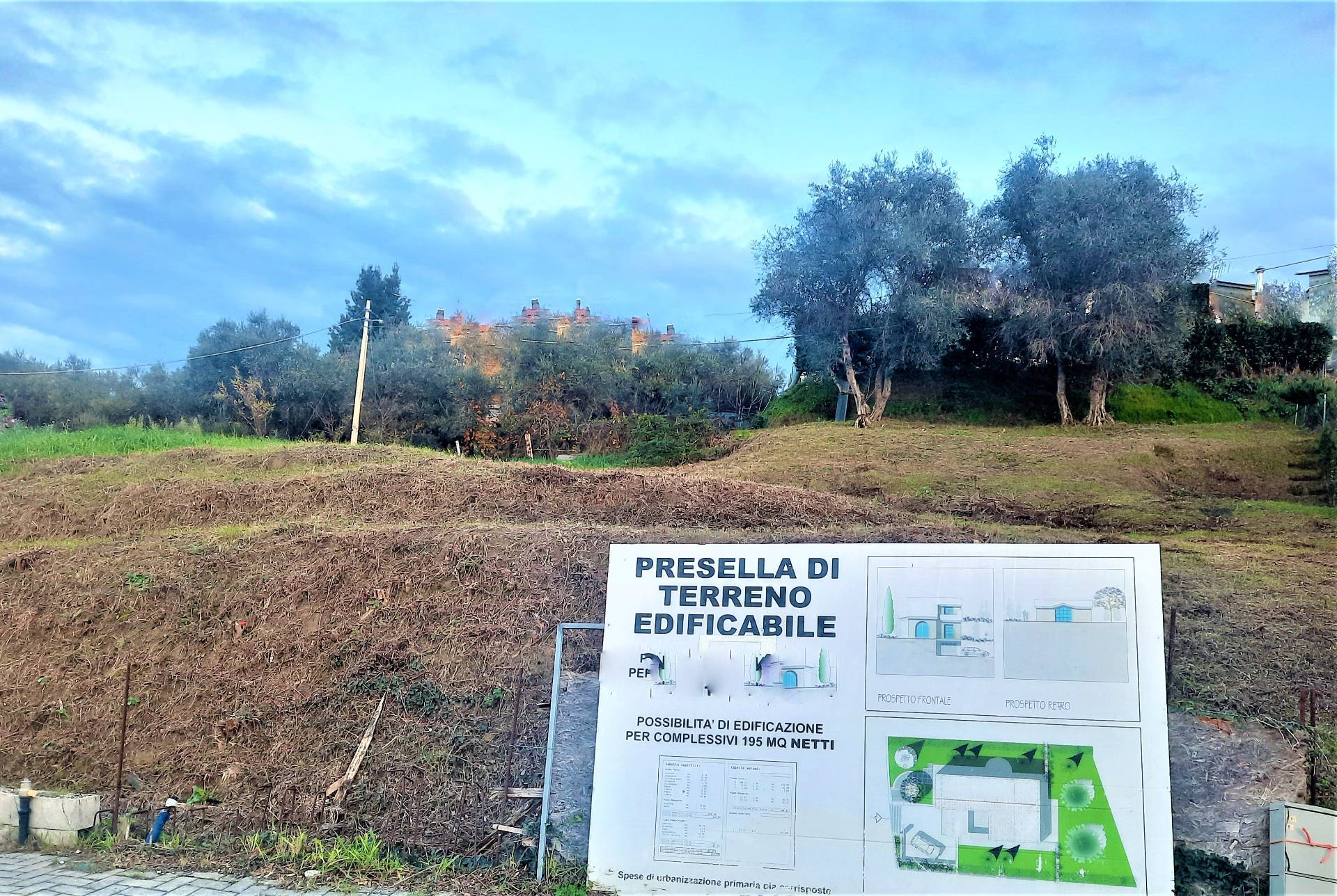 Terreno edificabile in vendita a Lajatico