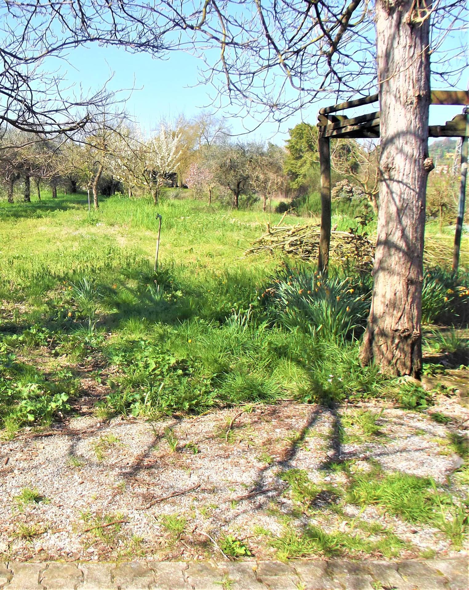 Terreno Agricolo in vendita a Santa Maria a Monte, Montecalvoli in basso