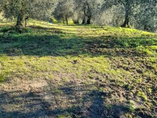 Appartamento in vendita a Montopoli in Val d'Arno, Marti