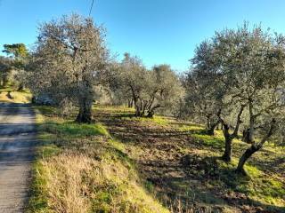 Appartamento in vendita a Montopoli in Val d'Arno, Marti