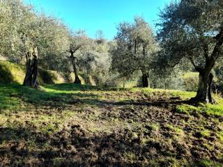 Appartamento in vendita a Montopoli in Val d'Arno, Marti