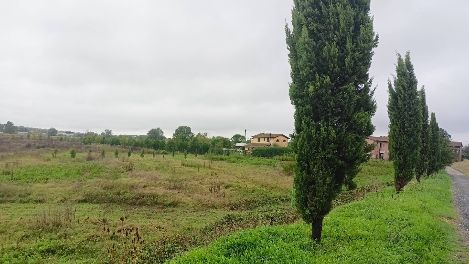 Casa singola in vendita a Montopoli in Val d'Arno, Casteldelbosco