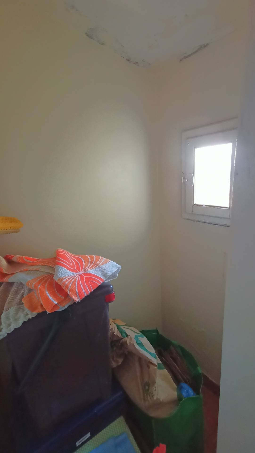 Appartamento in vendita a Palaia