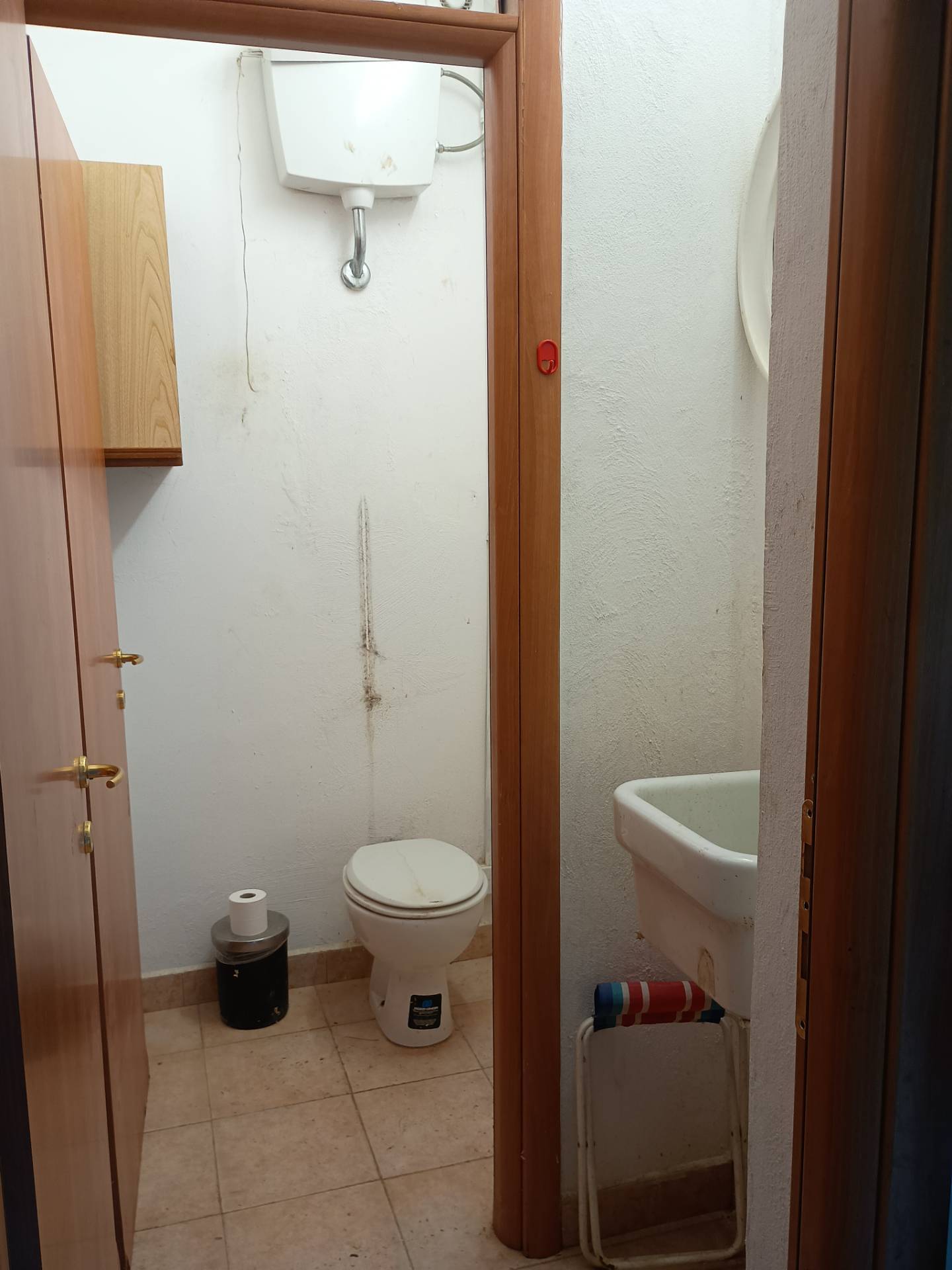 Terreno Agricolo in vendita a Terricciola