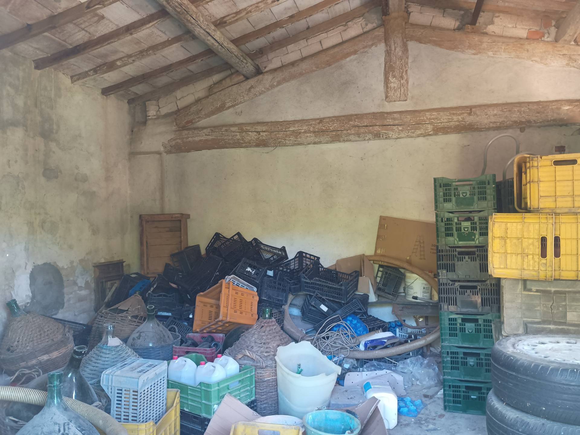 Terreno Agricolo in vendita a Terricciola