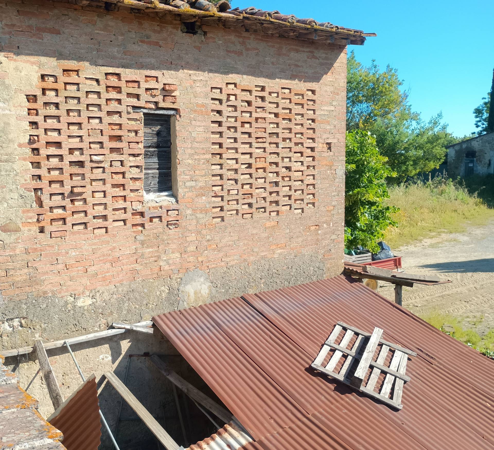 Terreno Agricolo in vendita a Terricciola