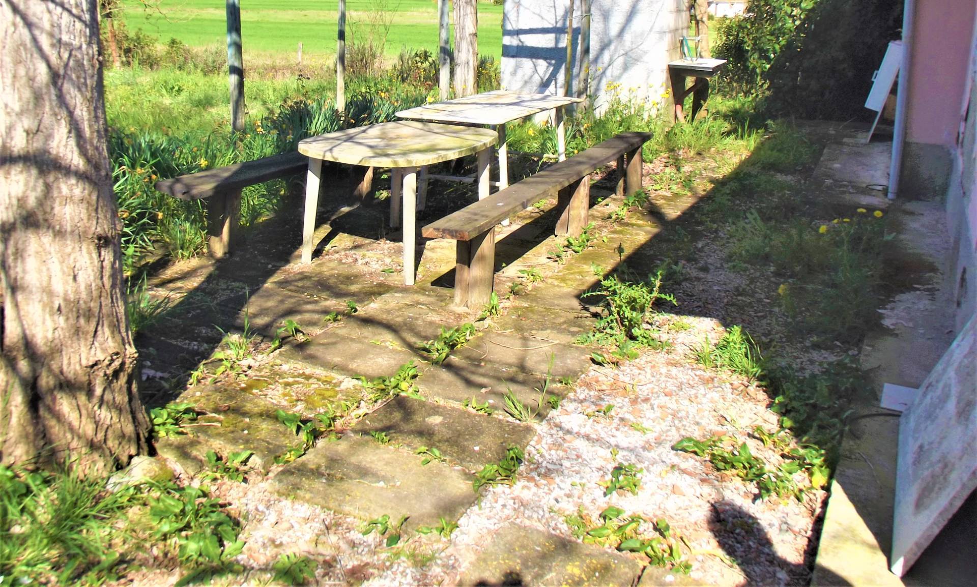 Terreno Agricolo in vendita a Santa Maria a Monte, Montecalvoli in basso