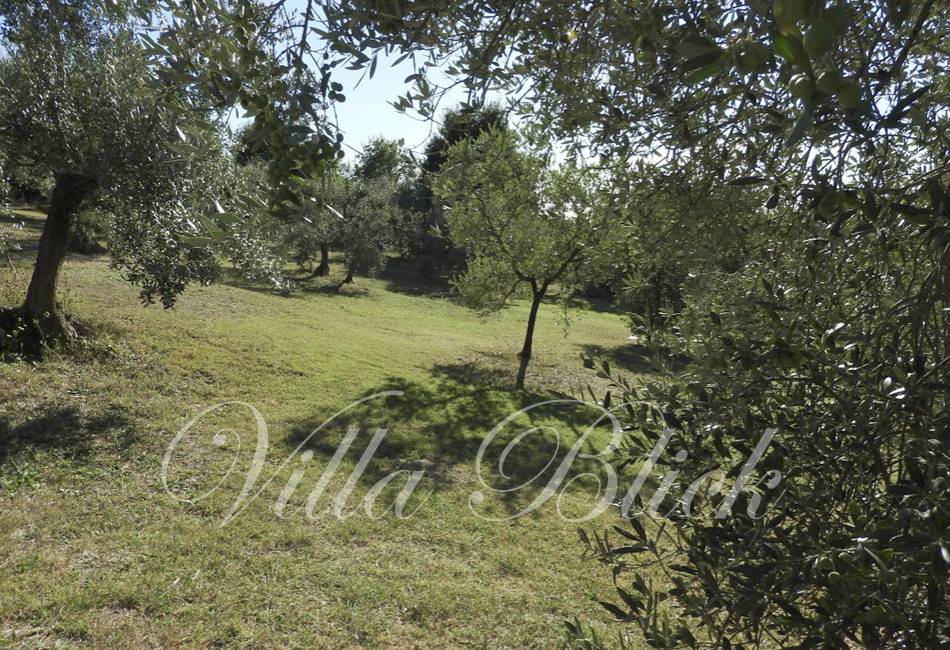 Villa in vendita a Guardistallo