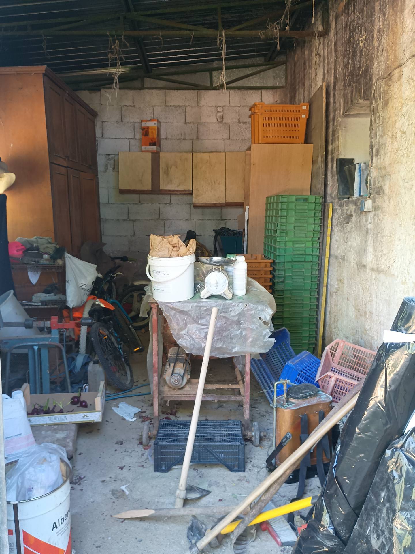 Terreno Agricolo in vendita a Terricciola