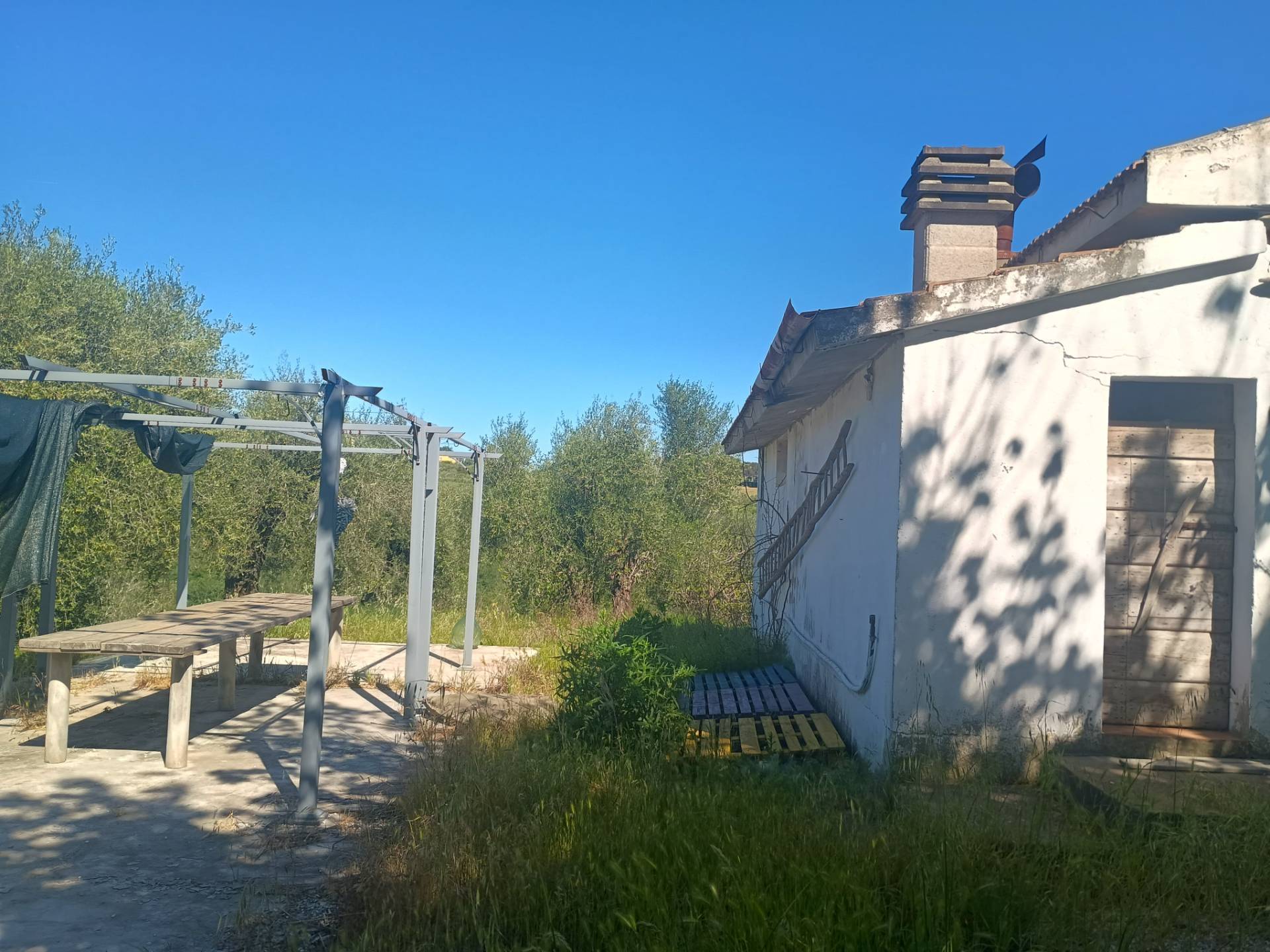 Casa singola in vendita a Palaia, Montechiari