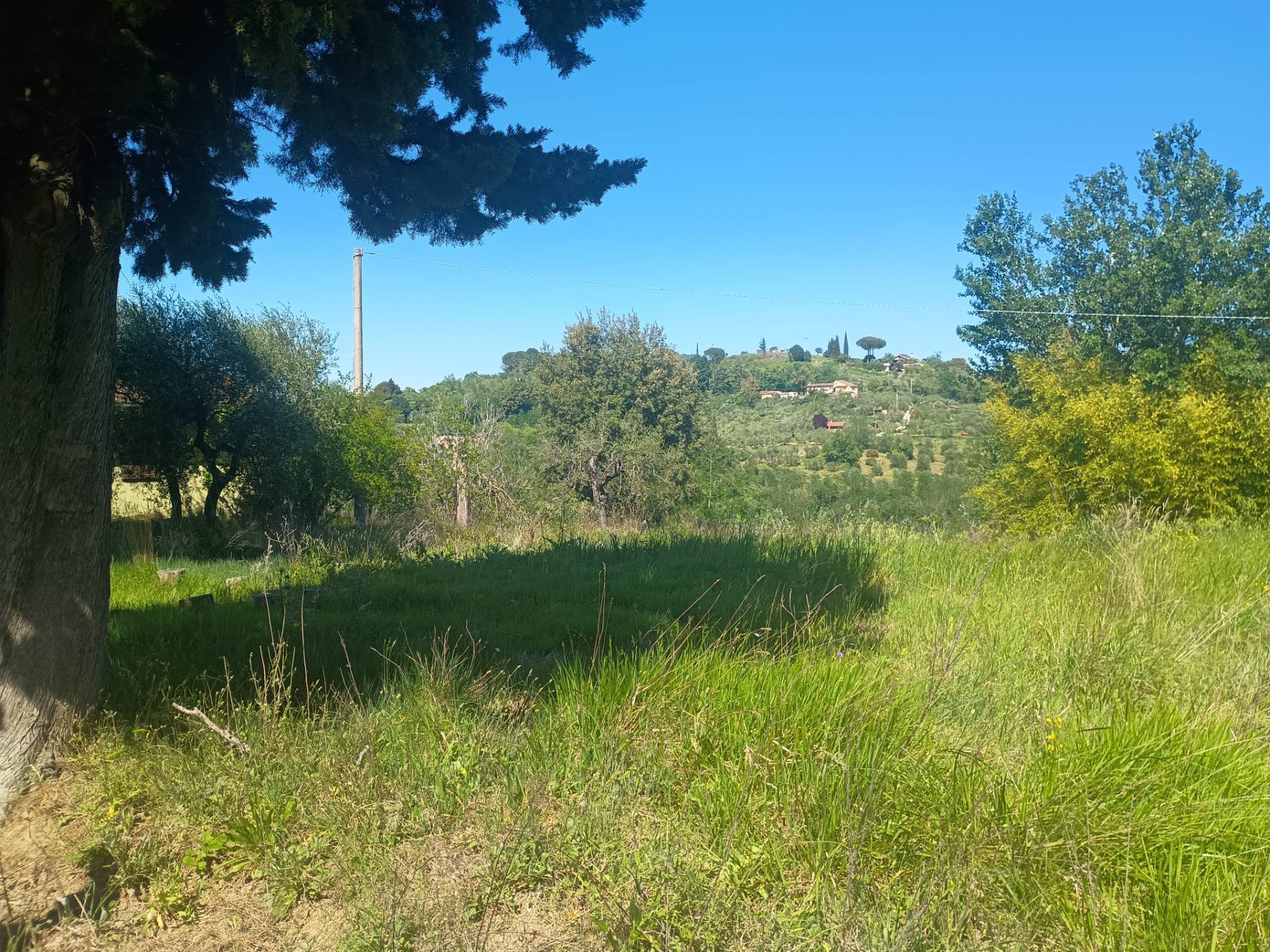 Casa singola in vendita a Palaia, Montechiari
