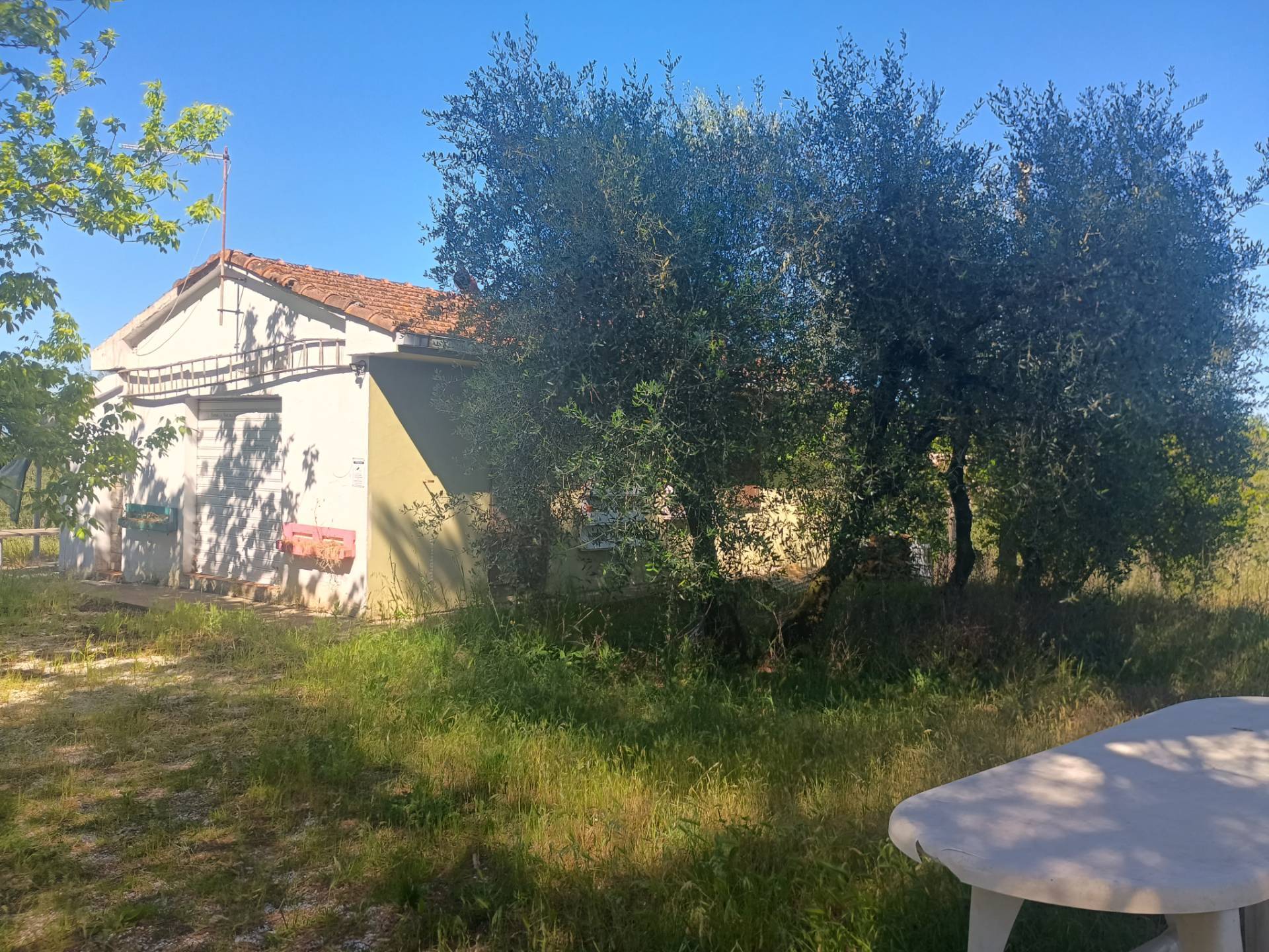 Casa singola in vendita a Palaia, Montechiari