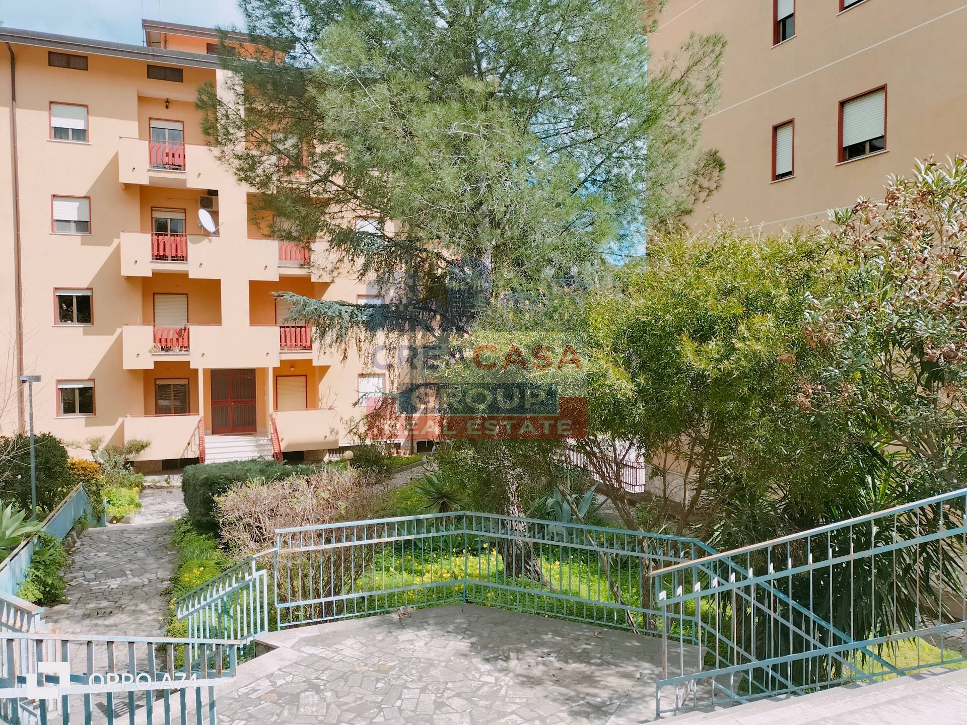 immagine annuncio 3 di 6
