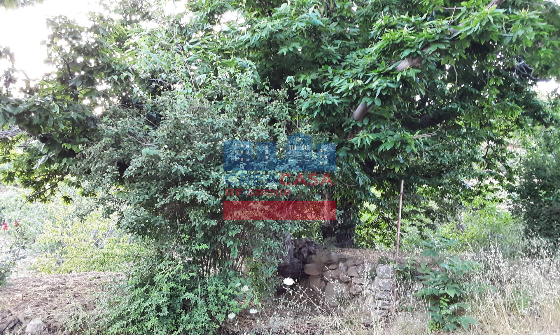 Terreno Agricolo in vendita a Graniti, Muscian