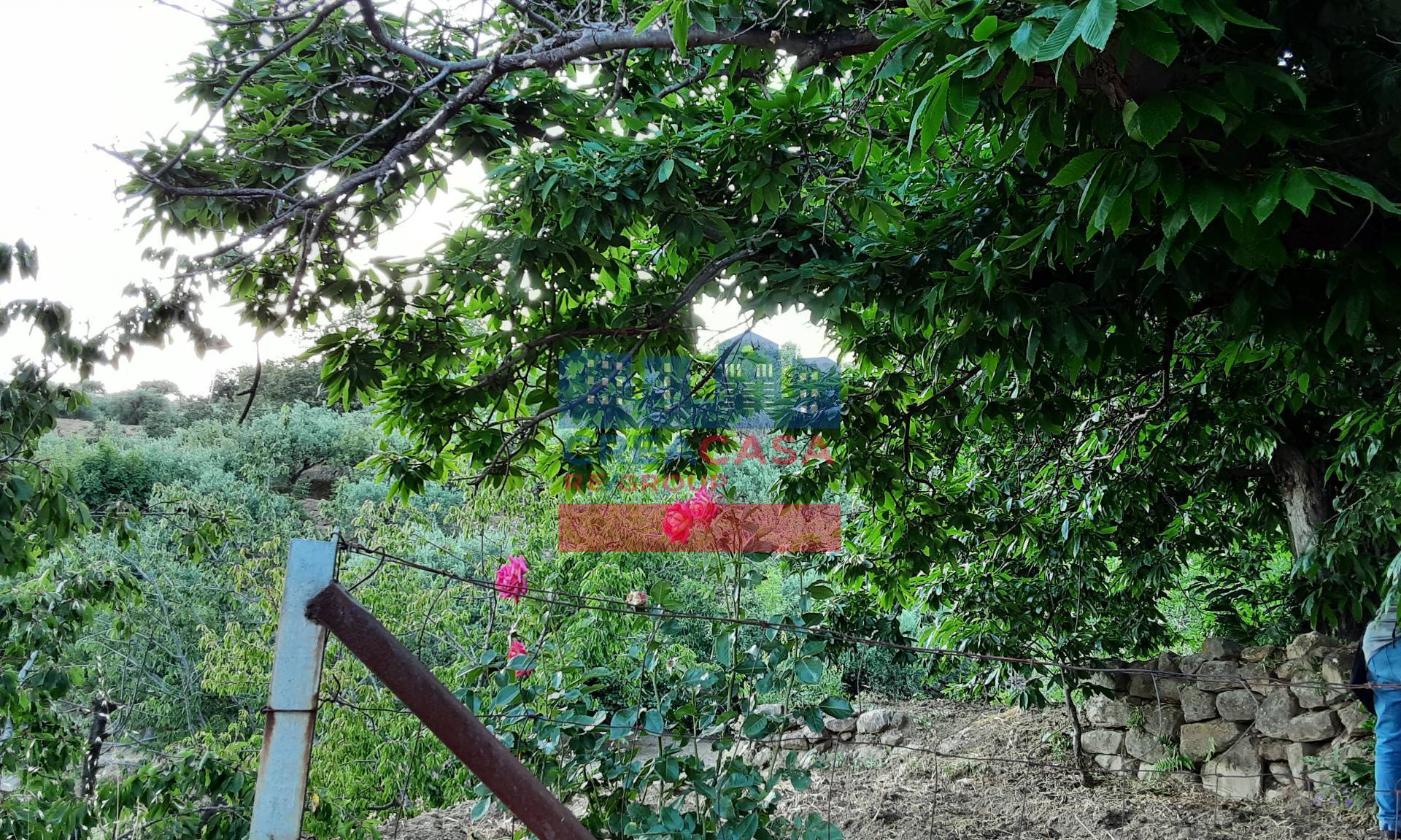 Terreno Agricolo in vendita a Graniti, Muscian
