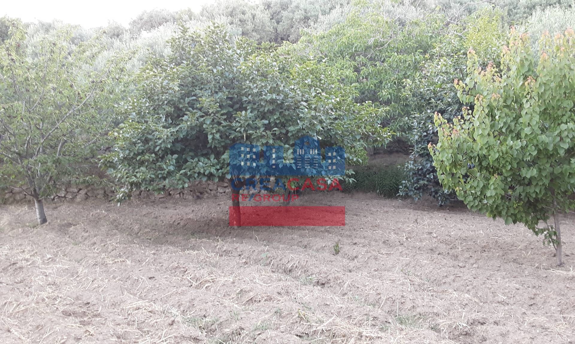 Terreno Agricolo in vendita a Graniti, Muscian