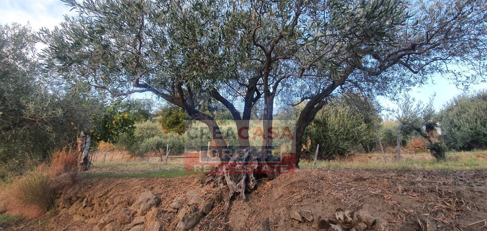 Terreno Agricolo in vendita a Graniti