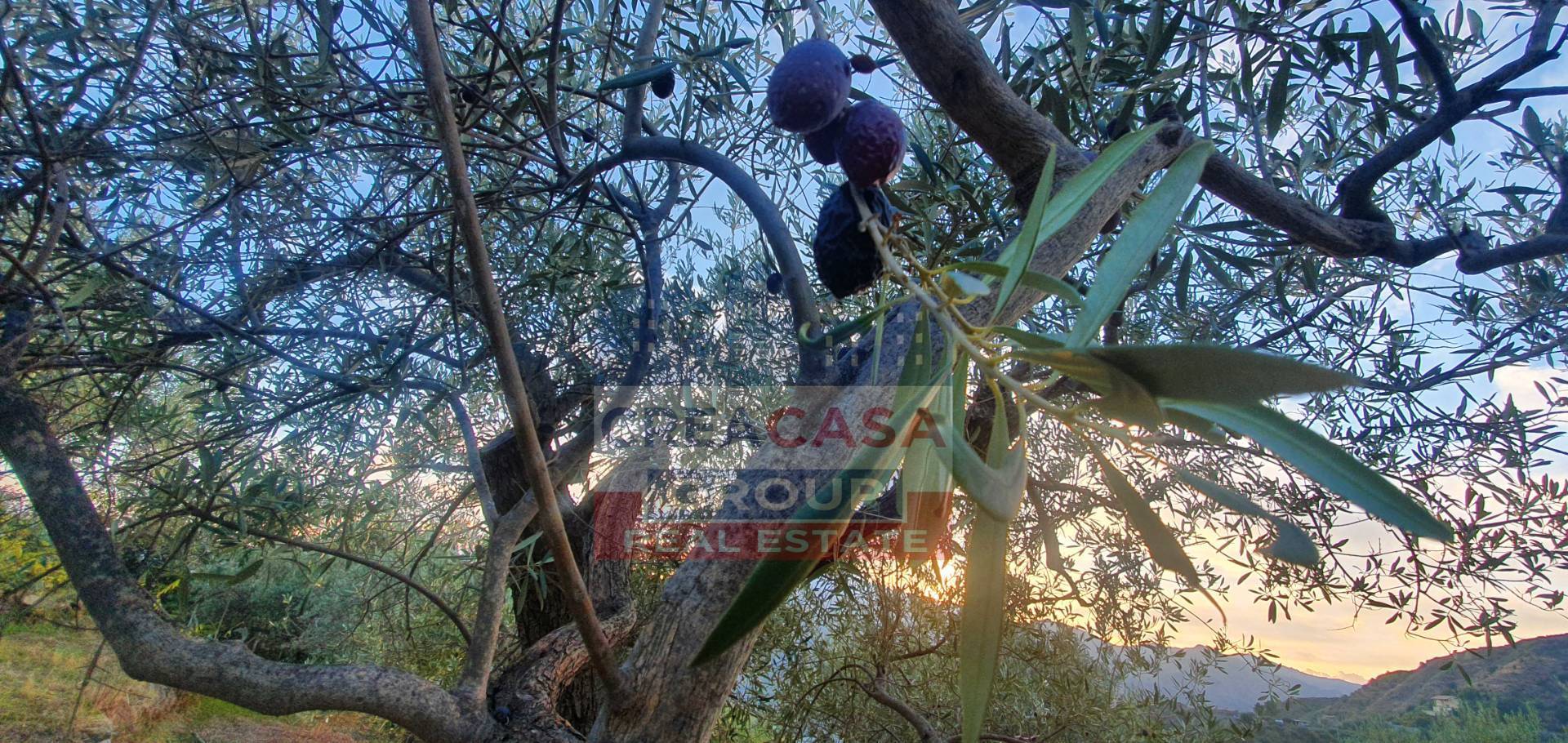 Terreno Agricolo in vendita a Graniti