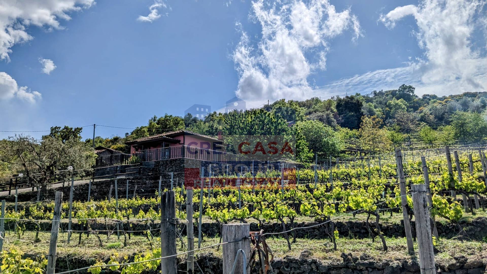 Terreno Agricolo in vendita a Linguaglossa