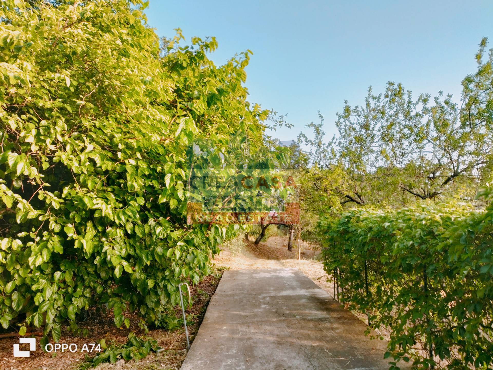 Villa singola in vendita a Castelmola, acqualorto