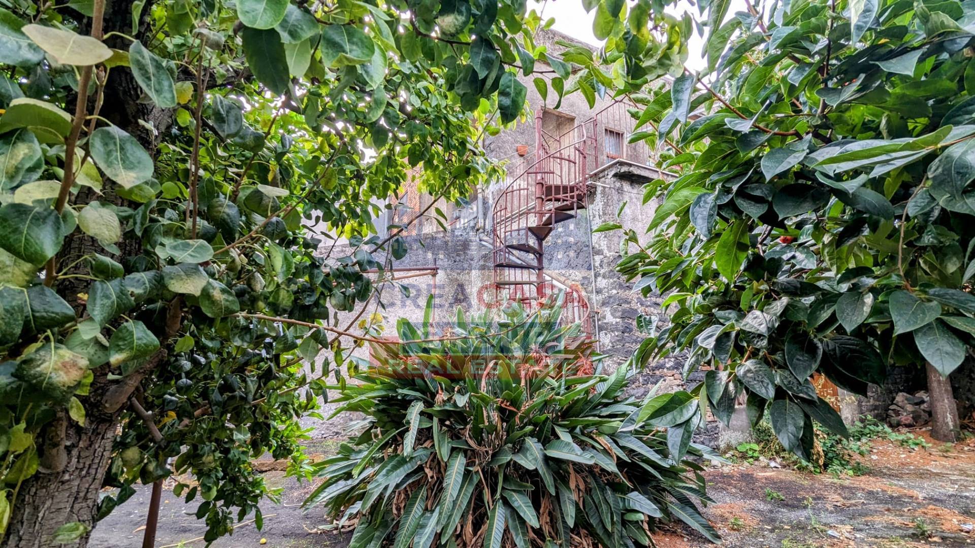 Stabile/Palazzo in vendita a Giarre, Altarello