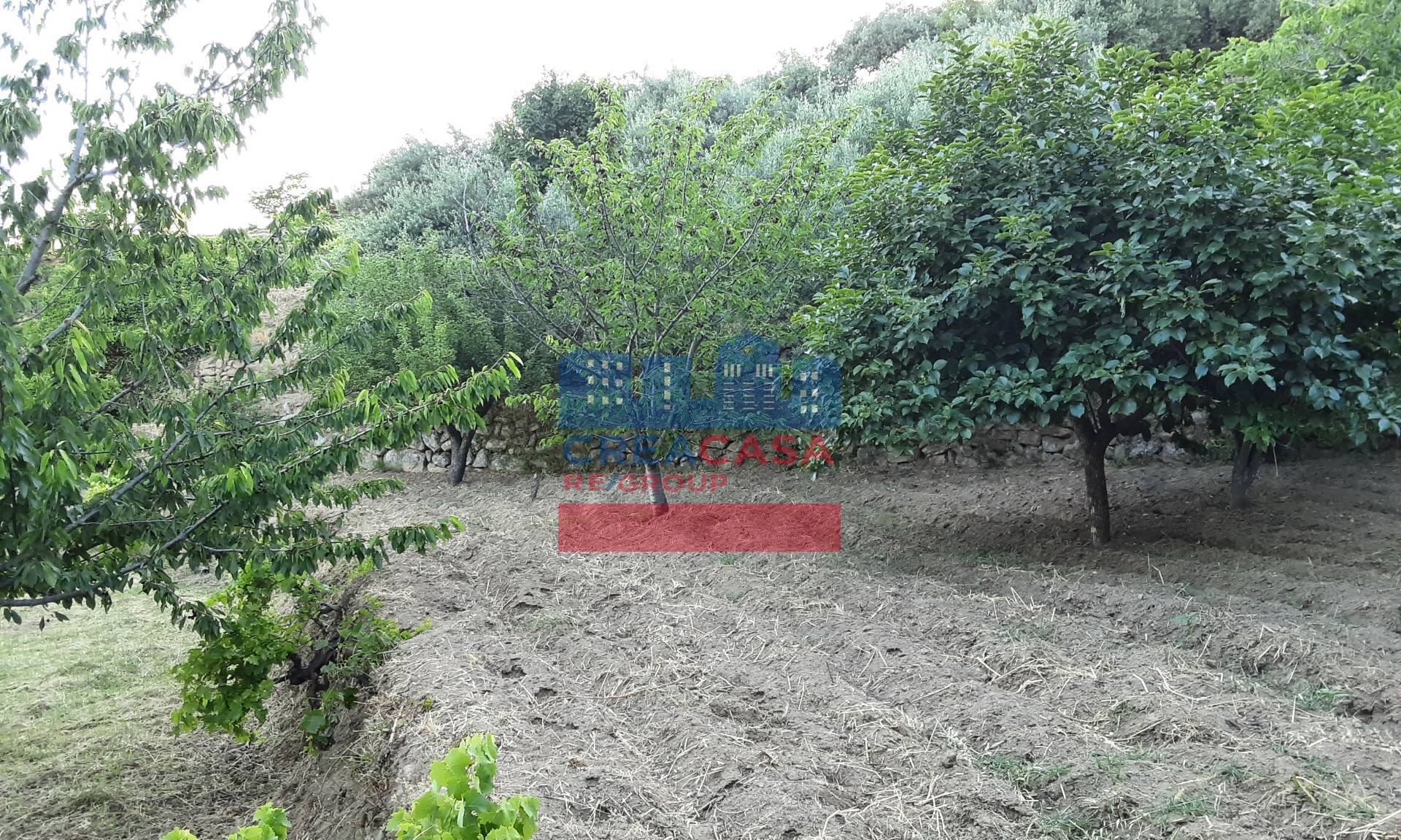 Terreno Agricolo in vendita a Graniti, Muscian