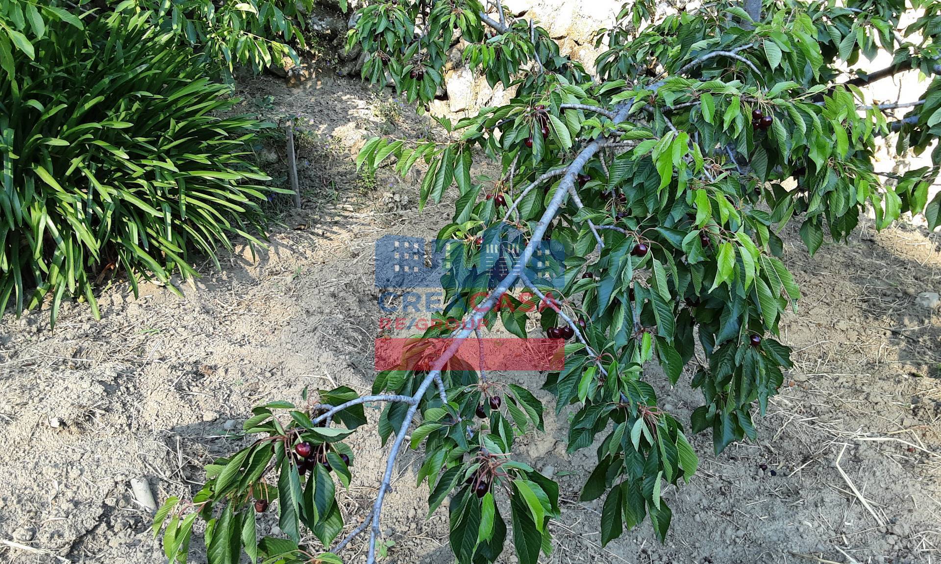 Casa di campagna in vendita a Graniti, Muscian