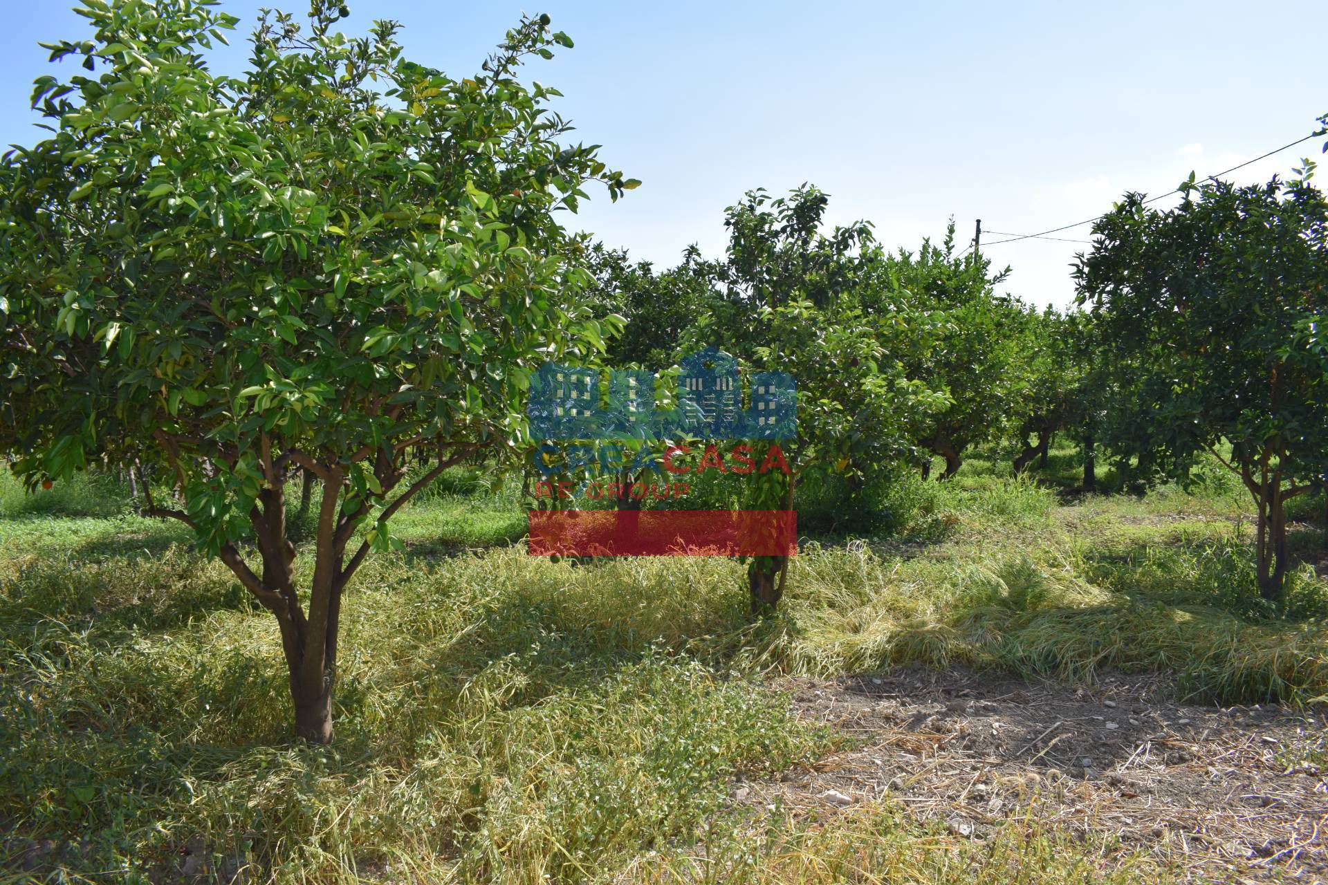 Terreno Agricolo in vendita a Taormina, Trappitello