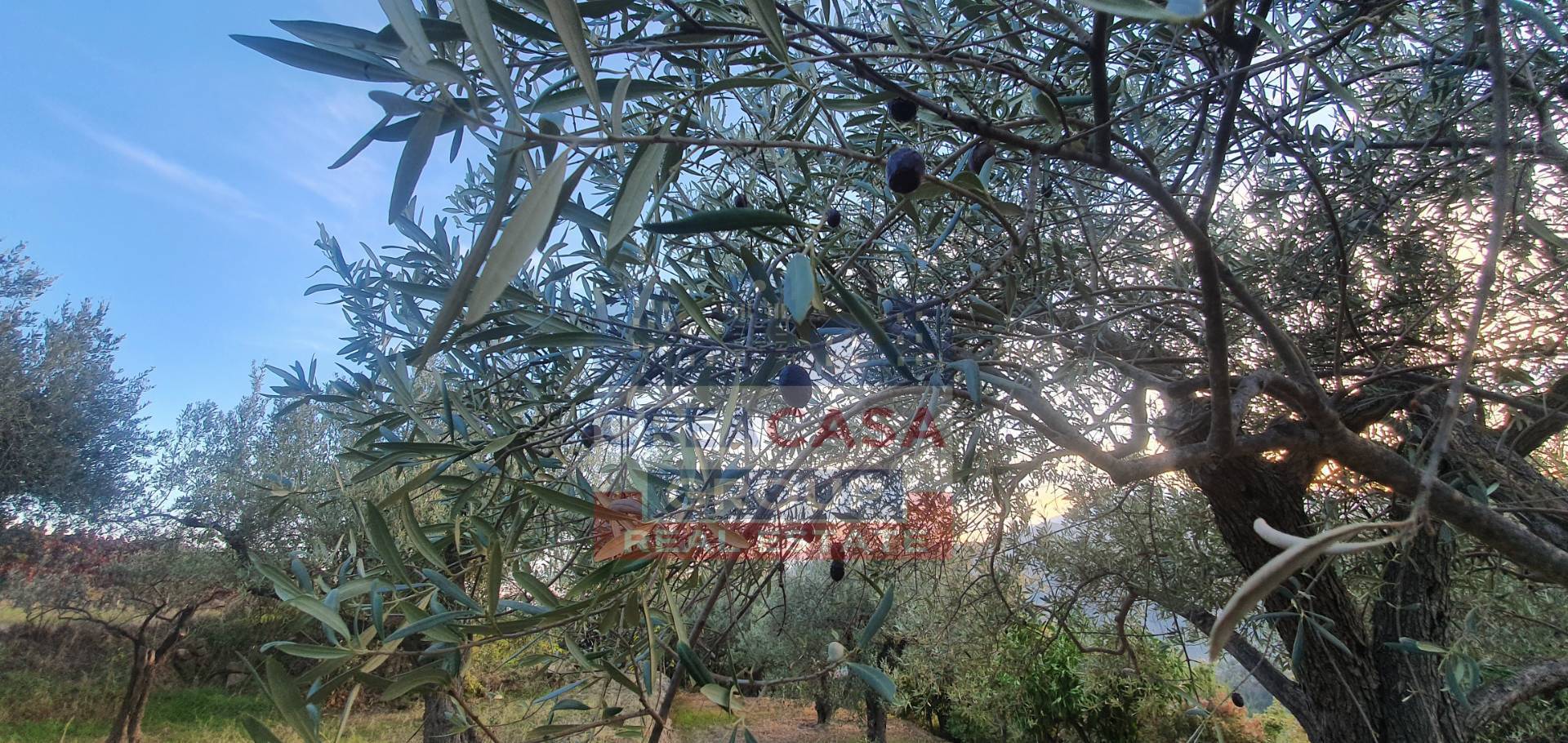 Terreno Agricolo in vendita a Graniti