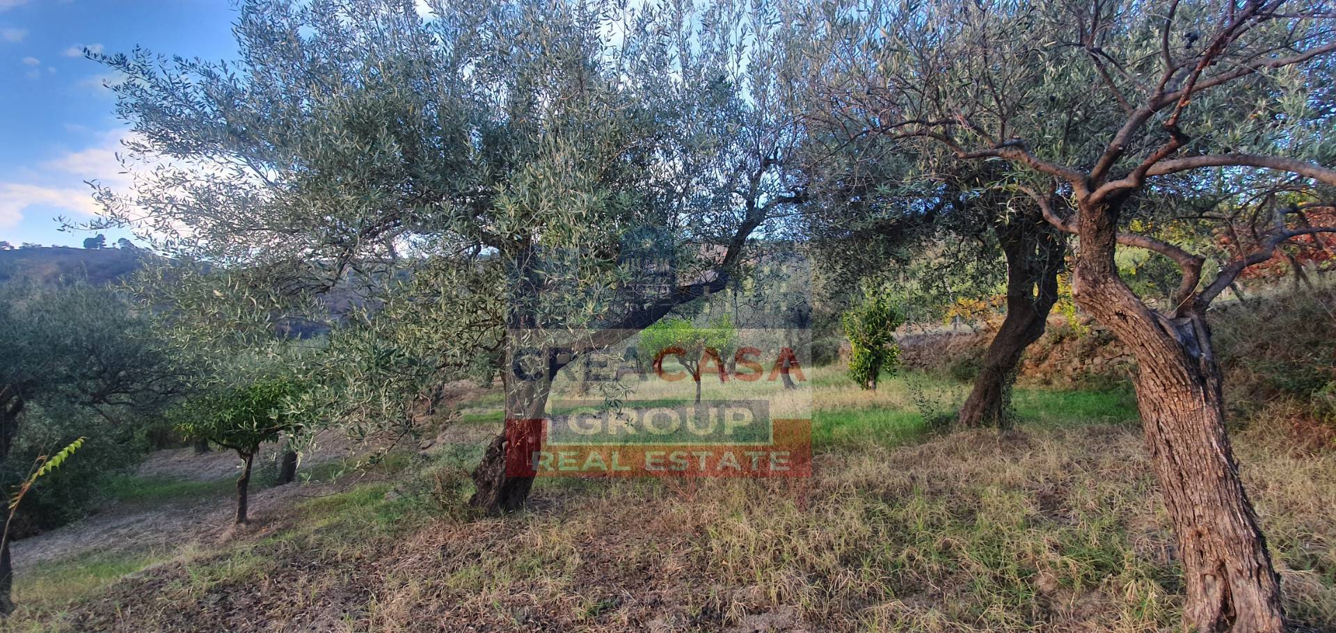 Terreno Agricolo in vendita a Graniti