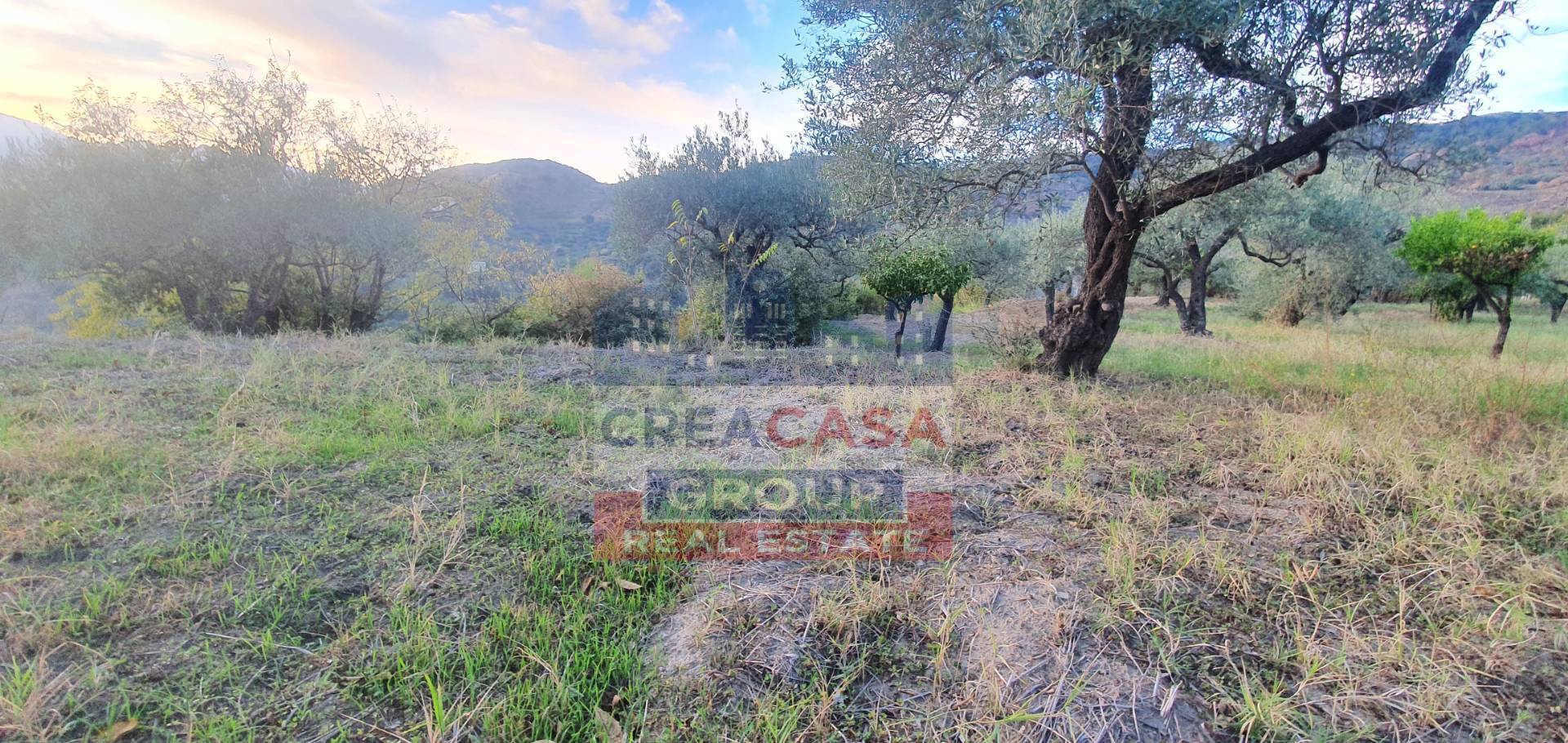 Terreno Agricolo in vendita a Graniti