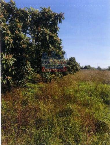 Terreno Agricolo in vendita a Calatabiano, San Marco