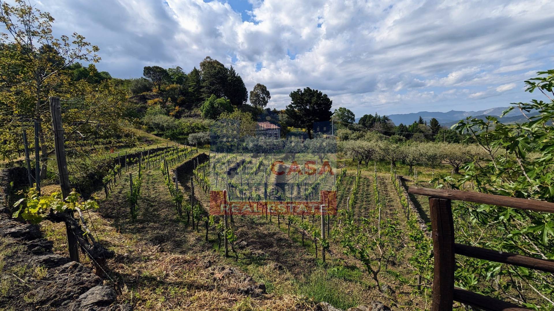 Terreno Agricolo in vendita a Linguaglossa