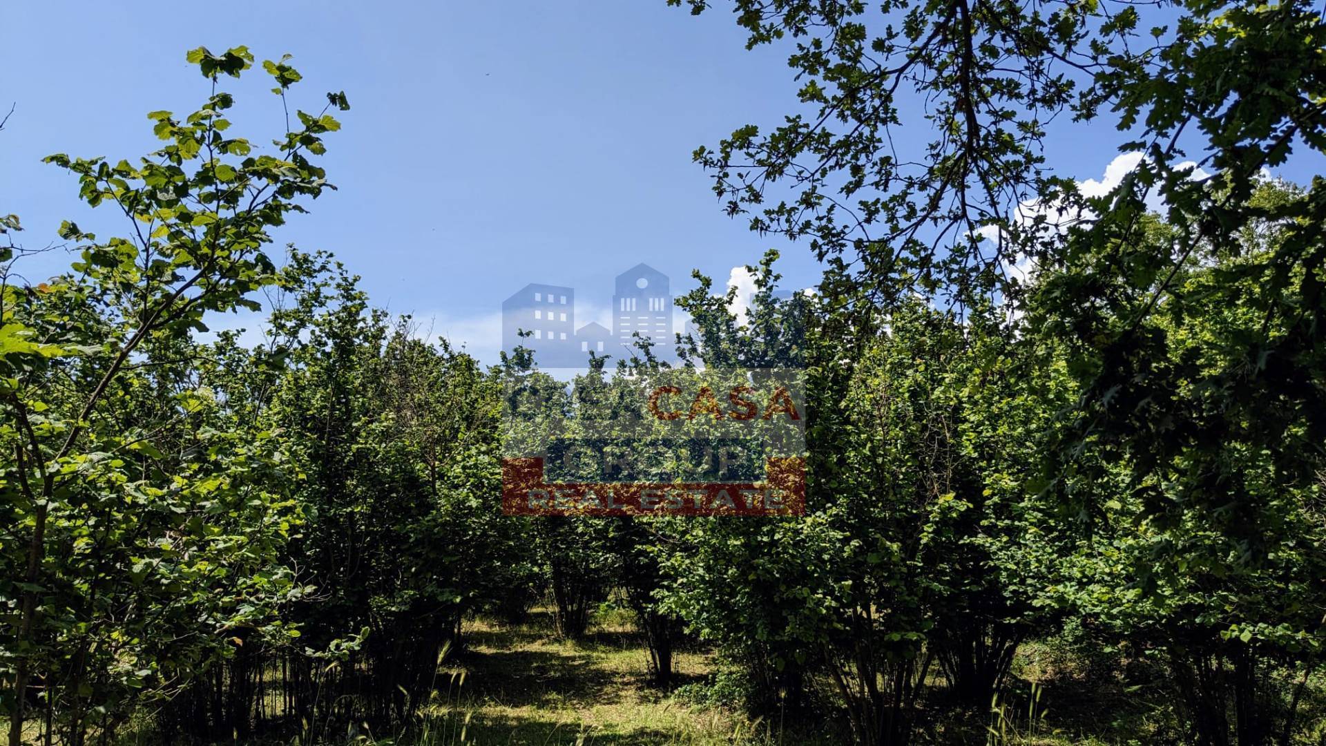 Terreno Agricolo in vendita a Castiglione di Sicilia