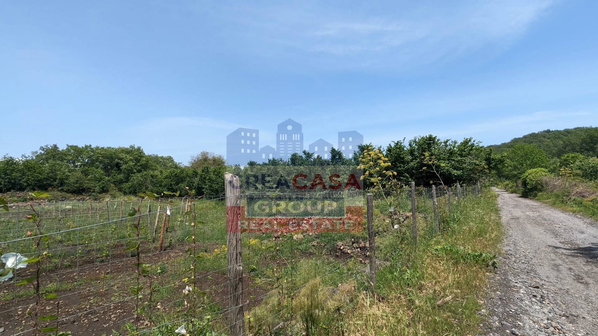 Terreno Agricolo in vendita a Castiglione di Sicilia