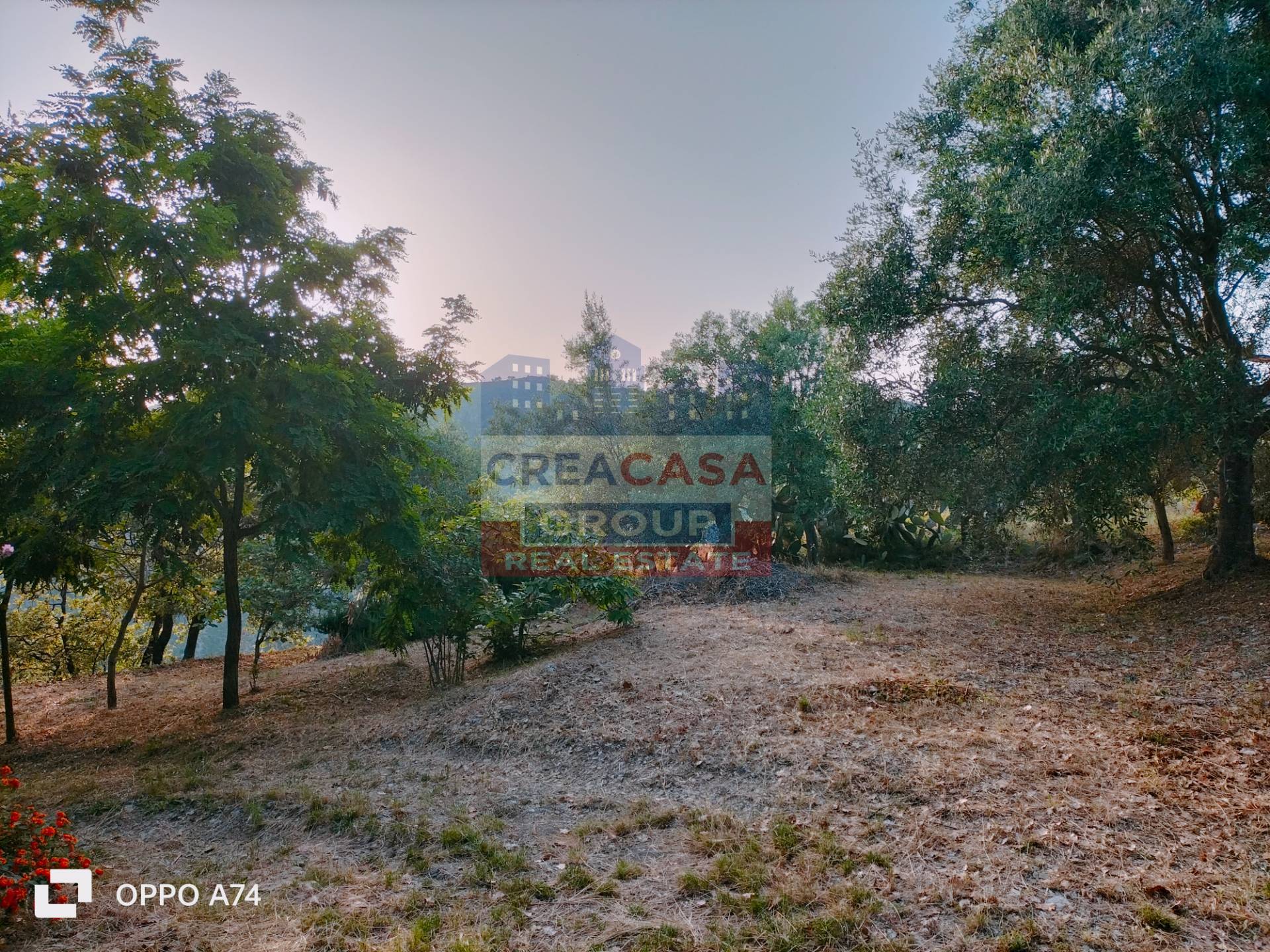 Villa singola in vendita a Castelmola, acqualorto