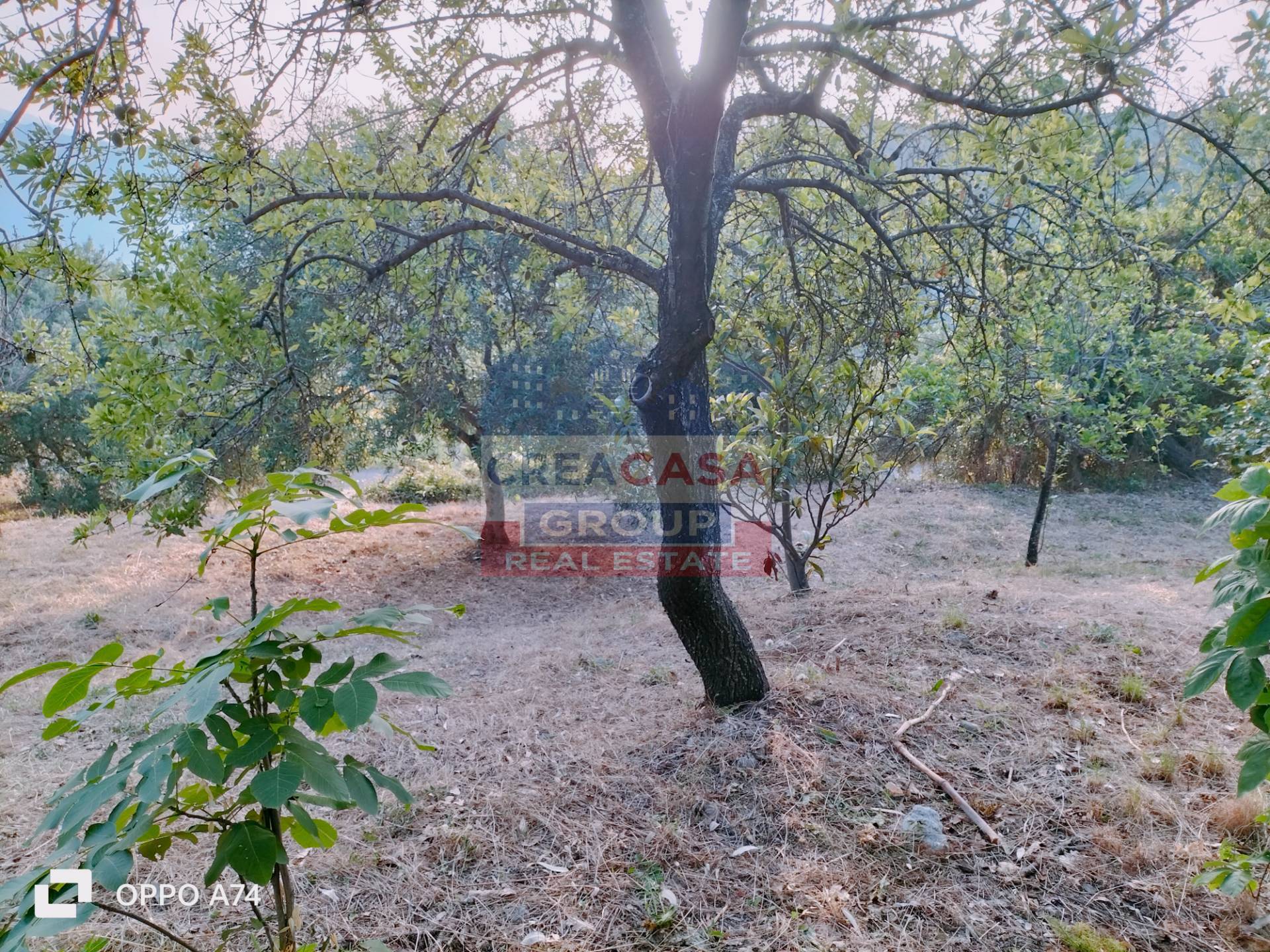 Villa singola in vendita a Castelmola, acqualorto