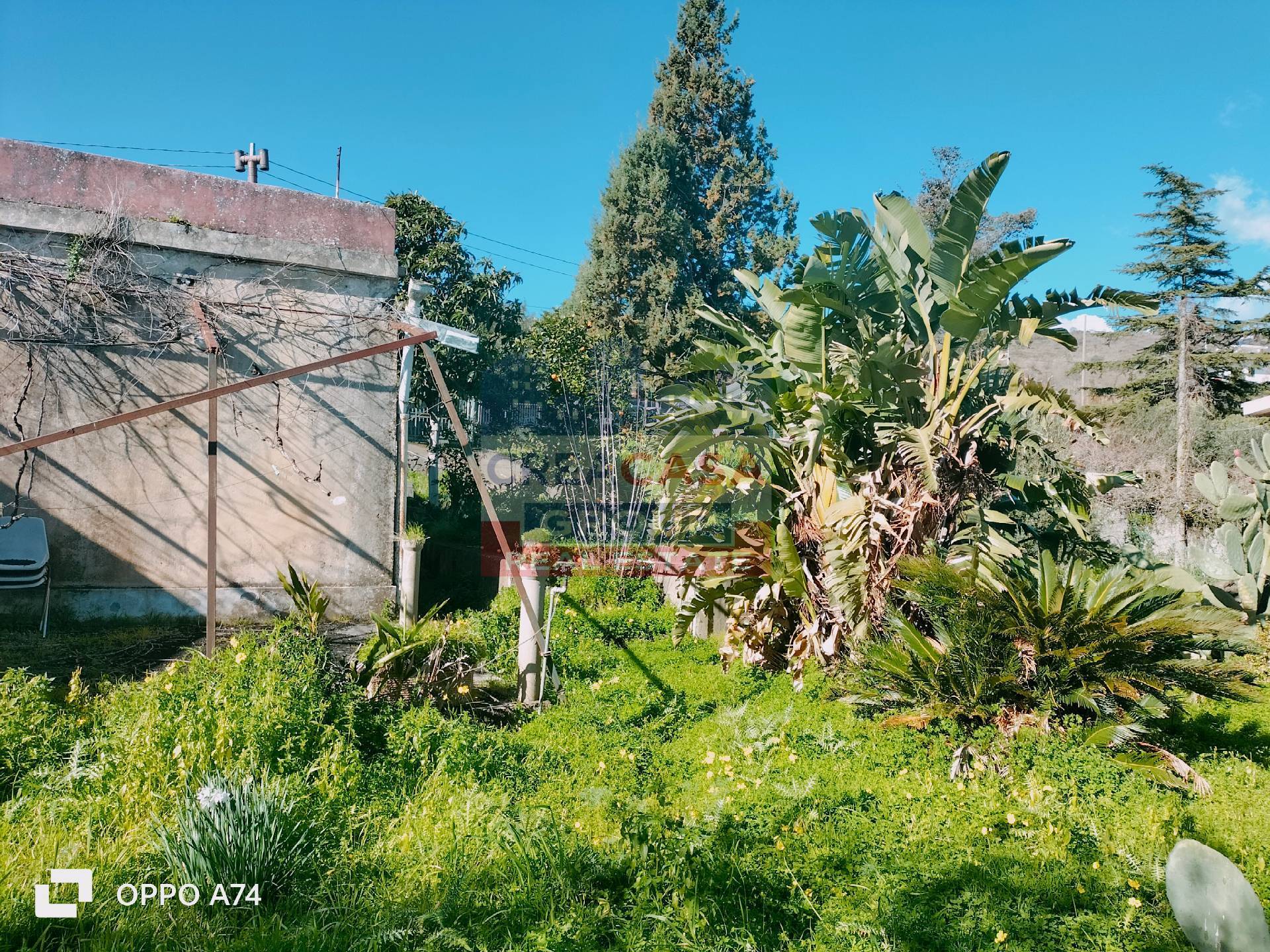 Casa singola in vendita a Mascali, Montargano